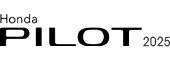 Logo Pilot